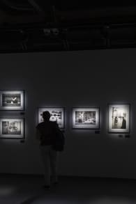 Photo 4 from Elliott Erwitt. Een retrospectief