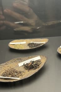 Photo 11 from The Spirit of Japan: An Immersive Art Experience
