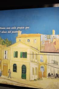 Photo 8 from Van Gogh The Immersive Experience - CDMX