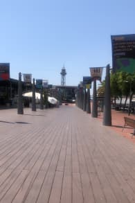 Photo 6 from ﻿America's Cup Experience