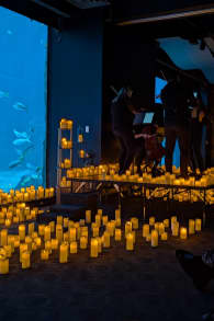 Photo 2 from Candlelight: Magical Movie Soundtracks