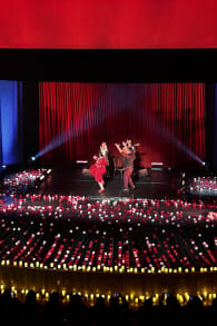 Photo 1 from We call it Flamenco: Un Espectáculo Único de Danza Española