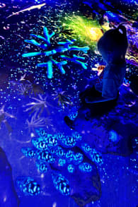 Photo 2 from Bubble Planet - An Immersive Experience