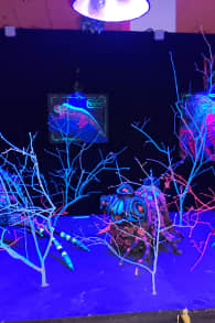 Photo 0 from Enigma, l’expérience immersive 100% familiale
