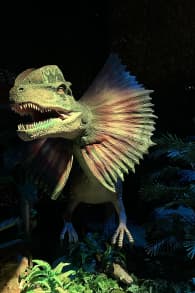 Photo 5 from Dinos Alive: An Immersive Experience