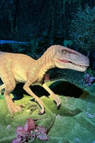 Photo 4 from Dinos Alive: An Immersive Experience