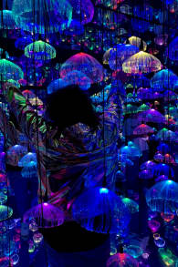 Photo 7 from Studio of Wonders: immersive Experience