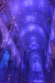 Photo 9 from LUMINISCENCE : Cathédrale Notre-Dame de la Treille