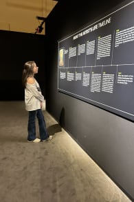 Photo 4 from Van Gogh: The Immersive Experience