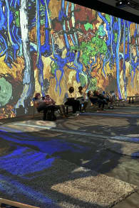 Photo 6 from Van Gogh: The Immersive Experience - Richmond