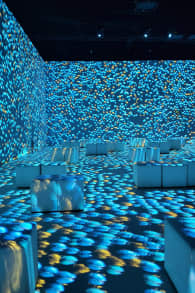 Photo 1 from Tutanchamun - das immersive Ausstellungserlebnis - Berlin
