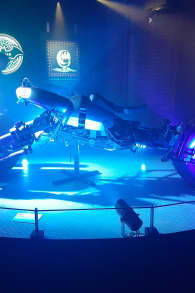 Photo 10 from Batman Unmasked in London