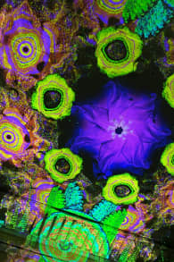 Photo 1 from Enlightenment: An Immersive Light Show in the Heart of Milan