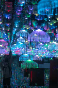 Photo 4 from Metartworld Melbourne Tickets