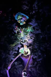Photo 6 from Enchanted: A Magical Halloween Experience