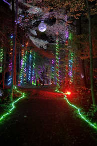 Photo 4 from Enchanted: A Magical Halloween Experience