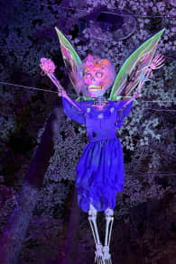 Photo 3 from Enchanted: A Magical Halloween Experience