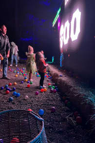 Photo 1 from Enchanted: A Magical Halloween Experience