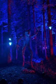Photo 2 from Enchanted: A Magical Halloween Experience