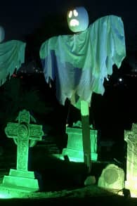 Photo 6 from Glowing Pumpkins: A Phoenix Jack-o-Lantern Adventure