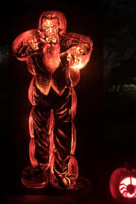 Photo 5 from Glowing Pumpkins: A Phoenix Jack-o-Lantern Adventure
