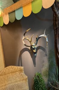 Photo 2 from Museum of Make Believe