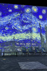 Photo 9 from Van Gogh: The Immersive Experience