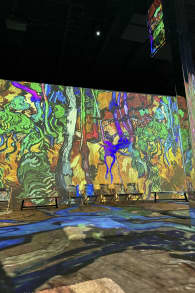 Photo 8 from Van Gogh: The Immersive Experience