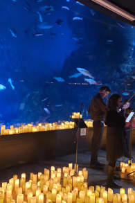 Photo 0 from Candlelight: A Tribute to Queen