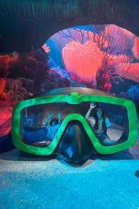 Photo 8 from Mundo Pixar : la plus grande exposition immersive de Pixar arrive à Barcelone