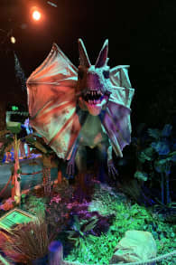 Photo 3 from Dinos Alive: An Immersive Experience