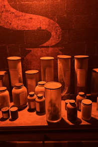 Photo 8 from Harry Potter™: Magic at Play