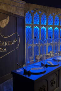 Photo 7 from Harry Potter™: Magic at Play