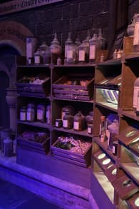 Photo 5 from Harry Potter™: Magic at Play