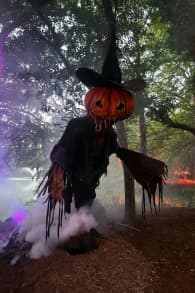 Photo 2 from Happy Frights