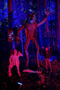 Photo 10 from Enchanted: A Magical Halloween Experience