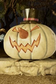 Photo 10 from Glowing Pumpkins: A Phoenix Jack-o-Lantern Adventure