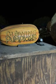 Photo 8 from Glowing Pumpkins: A Phoenix Jack-o-Lantern Adventure