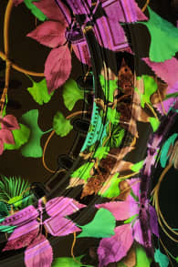 Photo 5 from Genesis: An Immersive Light Show in Boston