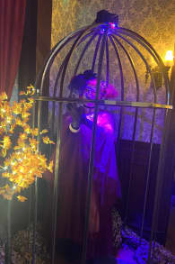 Photo 8 from House of Spirits: A Haunted Cocktail Masquerade