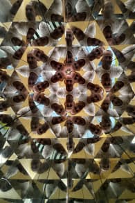 Photo 2 from Paradox Museum Barcelona