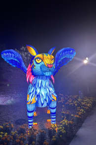 Photo 0 from Haunting Nights