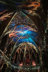 Photo 2 from Genesis, l'histoire de la Création en un spectacle lumineux et immersif à Bordeaux