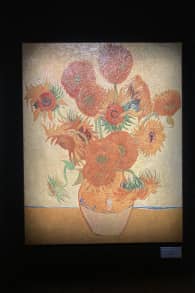 Photo 12 from Van Gogh: The Immersive Experience