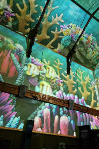 Photo 4 from Pixel Zoo Ocean - Une expérience immersive pour toute la famille