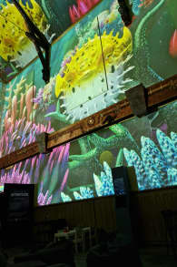Photo 5 from Pixel Zoo Ocean - Une expérience immersive pour toute la famille