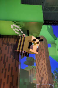 Photo 1 from Minecraft Experience: Villager Rescue