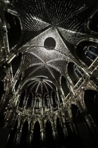 Photo 4 from Genesis, l'histoire de la Création en un spectacle lumineux et immersif à Bordeaux