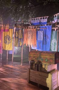 Photo 8 from Harry Potter : L’Expérience en Forêt Interdite
