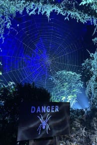 Photo 9 from Harry Potter : L’Expérience en Forêt Interdite